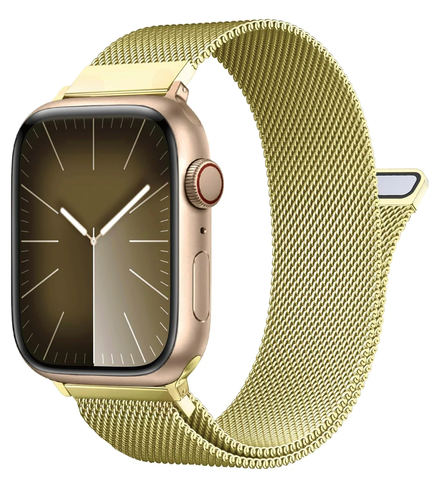 Watch Straps & Bands